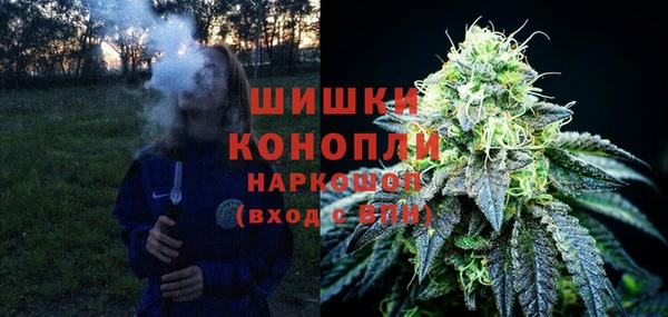 хмурый Аркадак