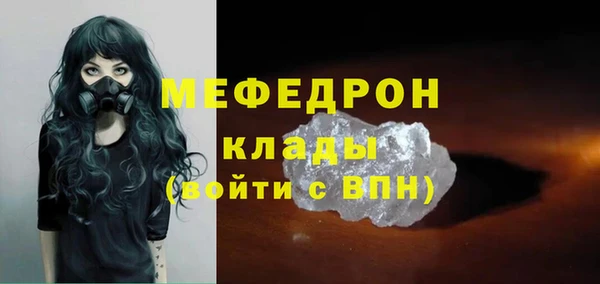 индика Арсеньев