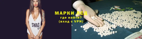 молекула духа Осташков