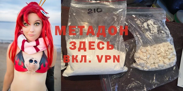 хмурый Аркадак