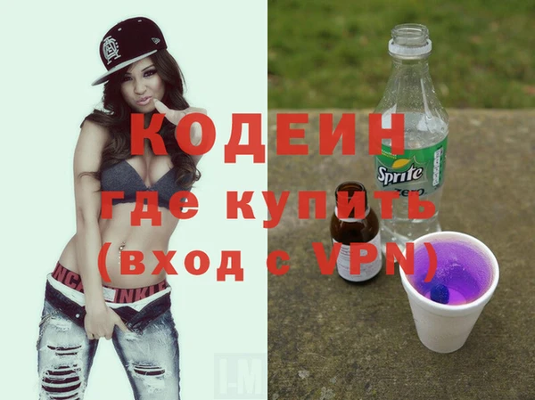хмурый Аркадак