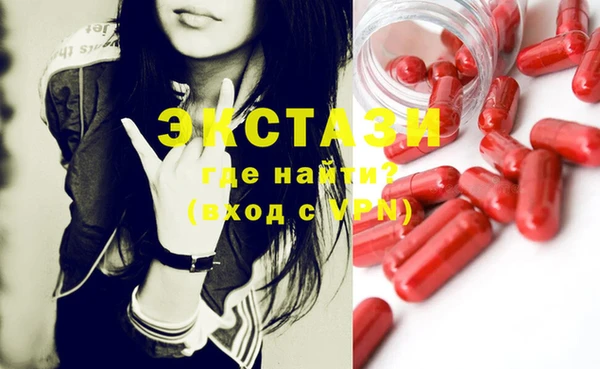 хмурый Аркадак