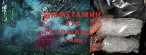 индика Арсеньев