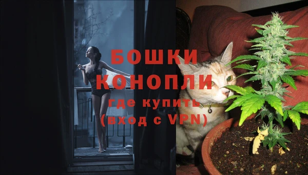 хмурый Аркадак