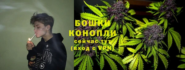 хмурый Аркадак