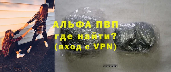 индика Арсеньев