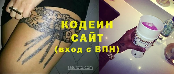 индика Арсеньев