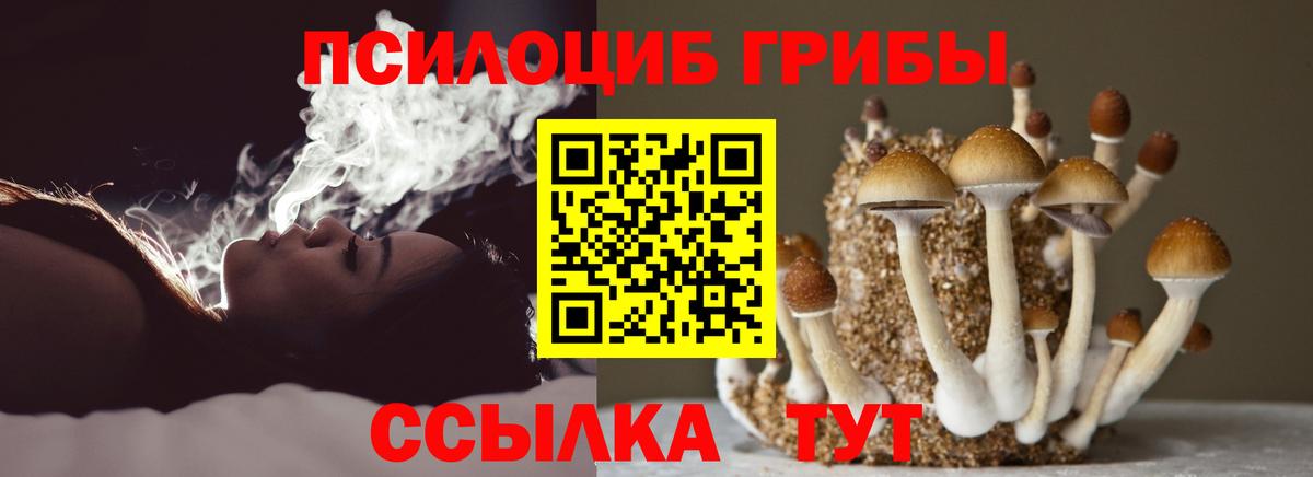 Галлюциногенные грибы MAGIC MUSHROOMS  Вход с VPN  Старая Купавна 